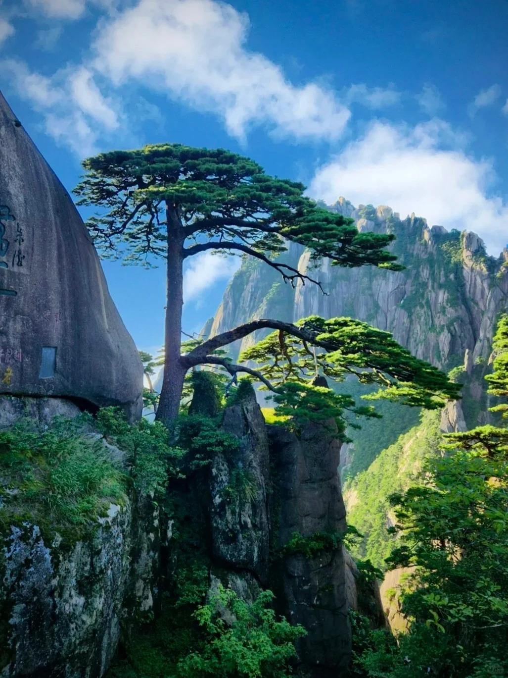 황산의 낮과 밤을 모두 만나는 10명만의 특별한 프라이빗 투어