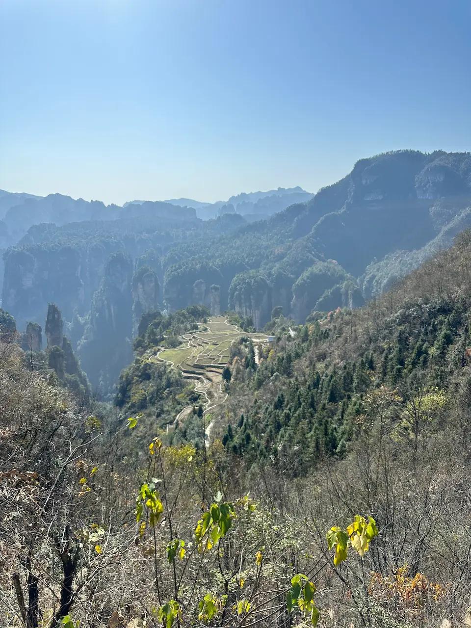 서브 이미지 1