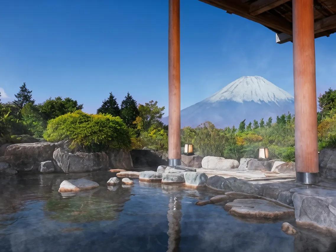 호텔 그린 플라자 하코네 (Hotel Green Plaza Hakone)