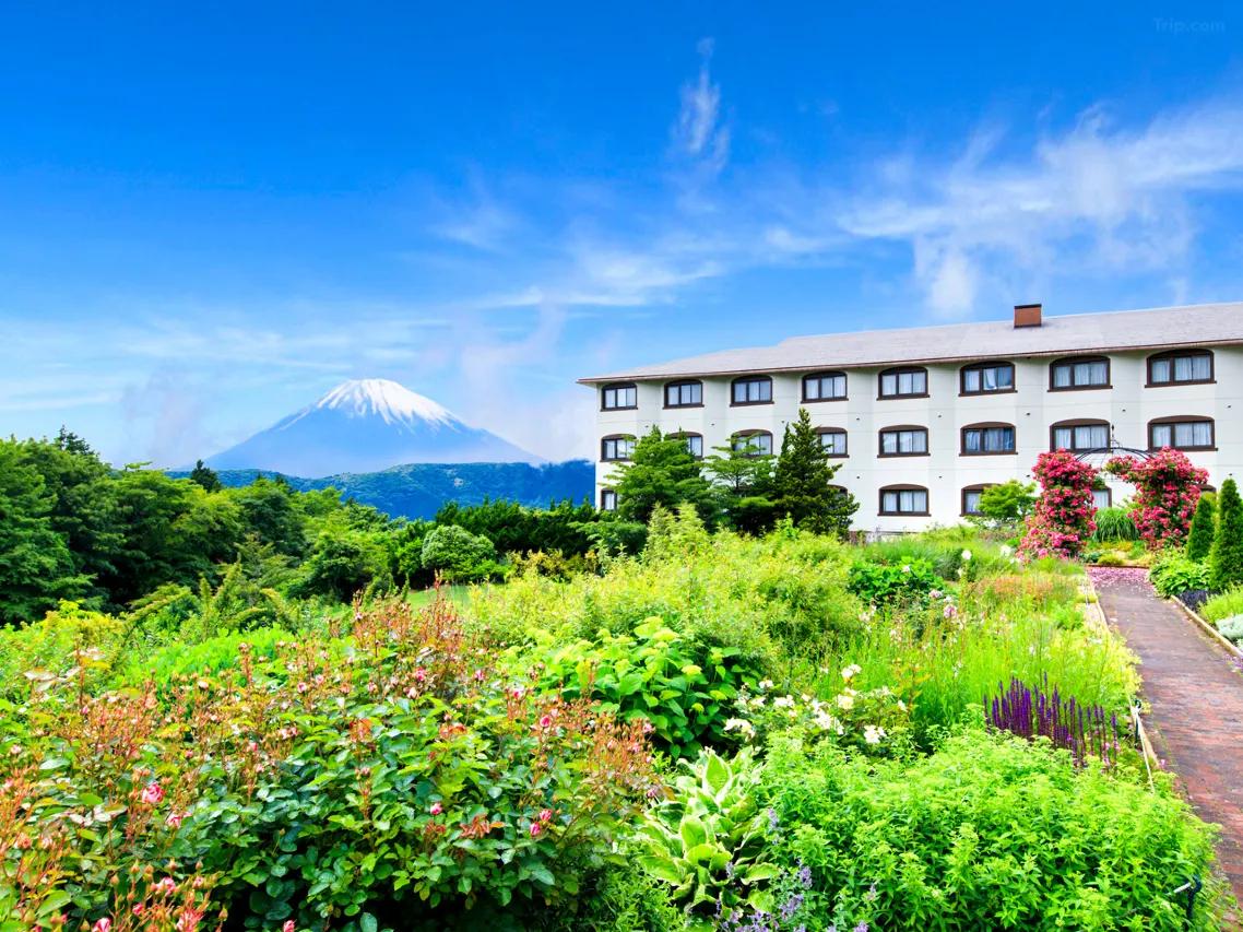 호텔 그린 플라자 하코네 (Hotel Green Plaza Hakone)