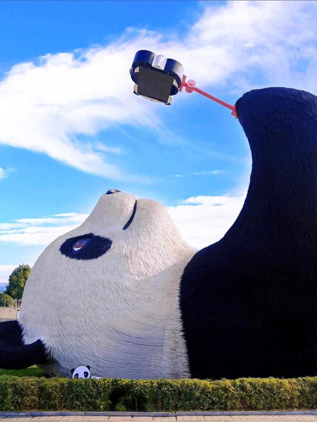 판다를 더 오래 만나는 청두 와룡 프라이빗 여행